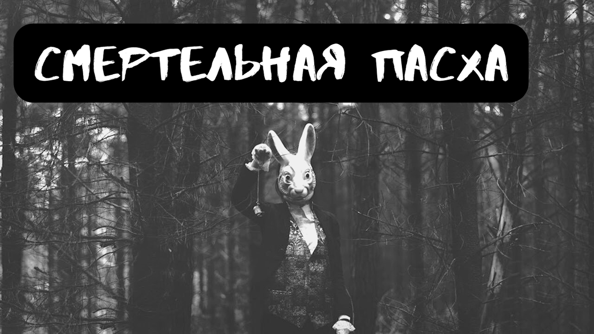 Не забудь подписаться, поставить лайк и написать в комментариях все, что думаешь об истории