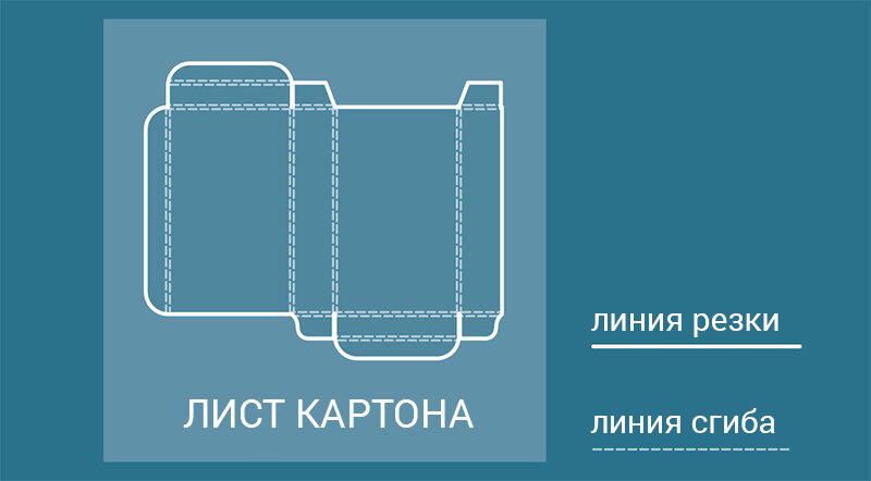 Линия сгиба и линия резки на листе картона