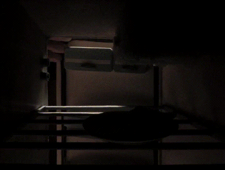 Момент из короткометражки "Уоллес и Громит: Великий выходной"