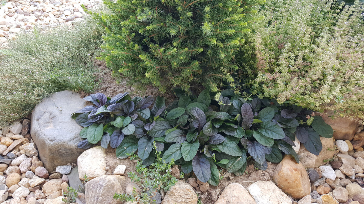 Например, вот так