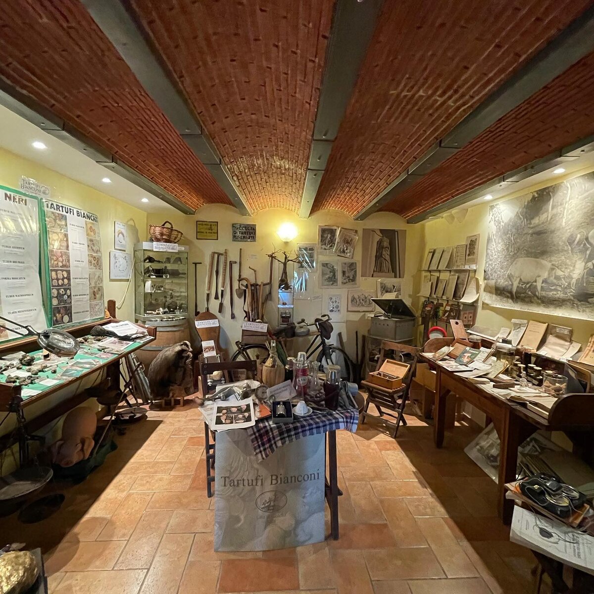 Музей Tartufi Bianconi