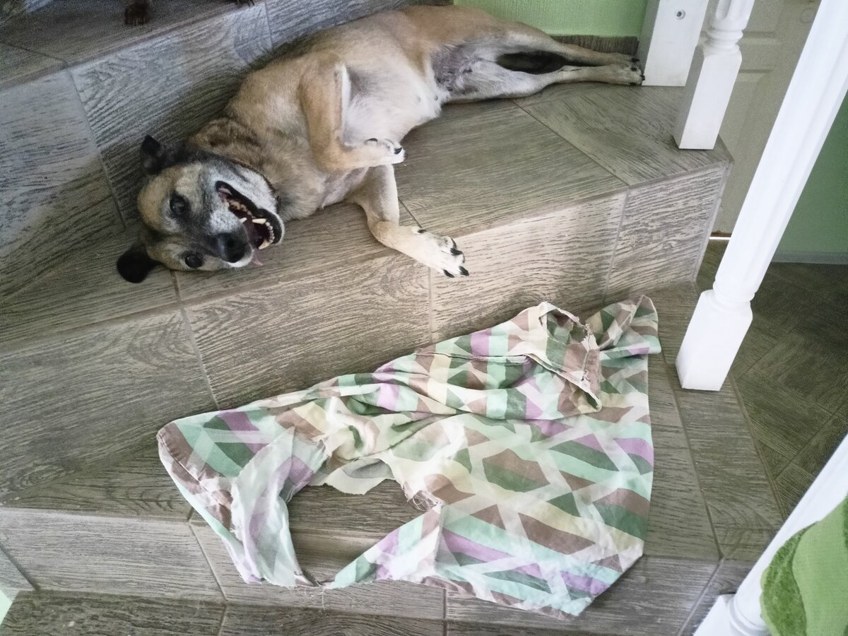 Хозяйка, чего ты возмущаешься? Всё же получилось красиво!