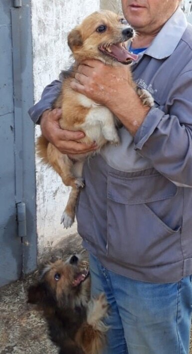 эти малыши сейчас сидят в темноте, в холодном гараже