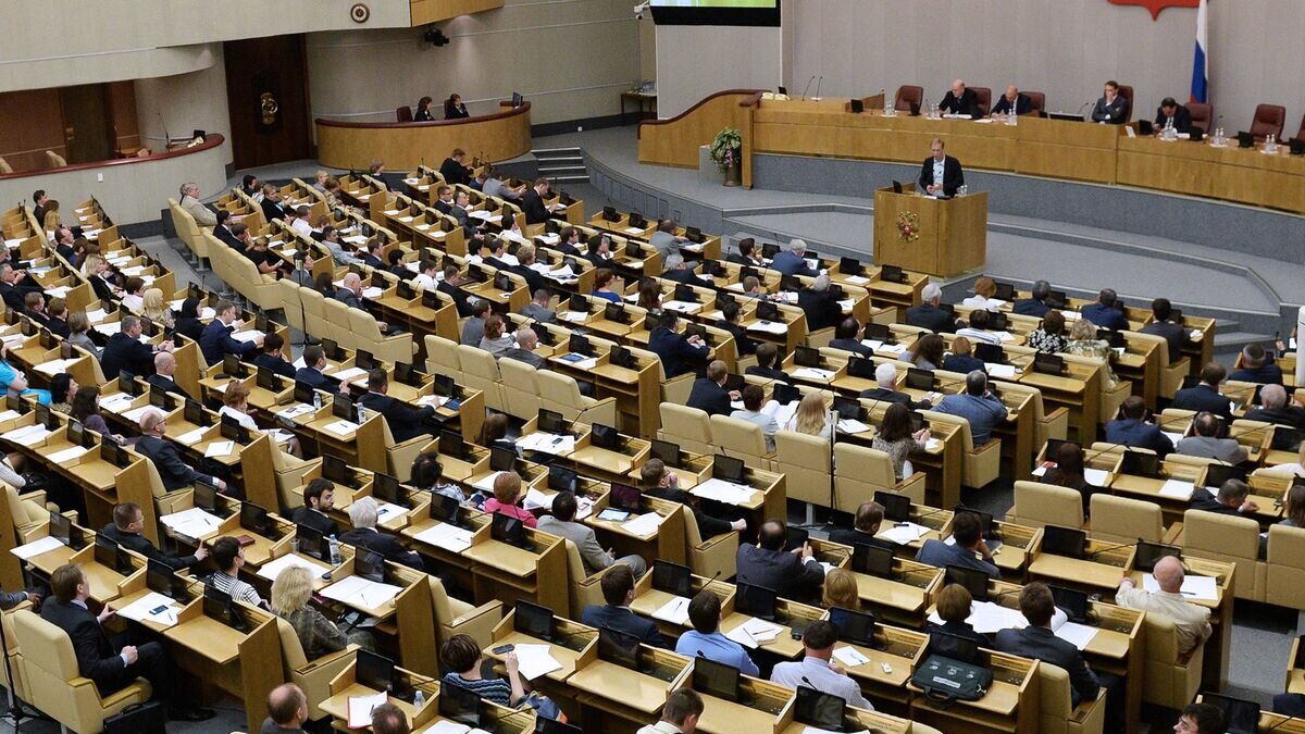    Парламентские слушания в Госдуме РФ© РИА Новости / Владимир Федоренко