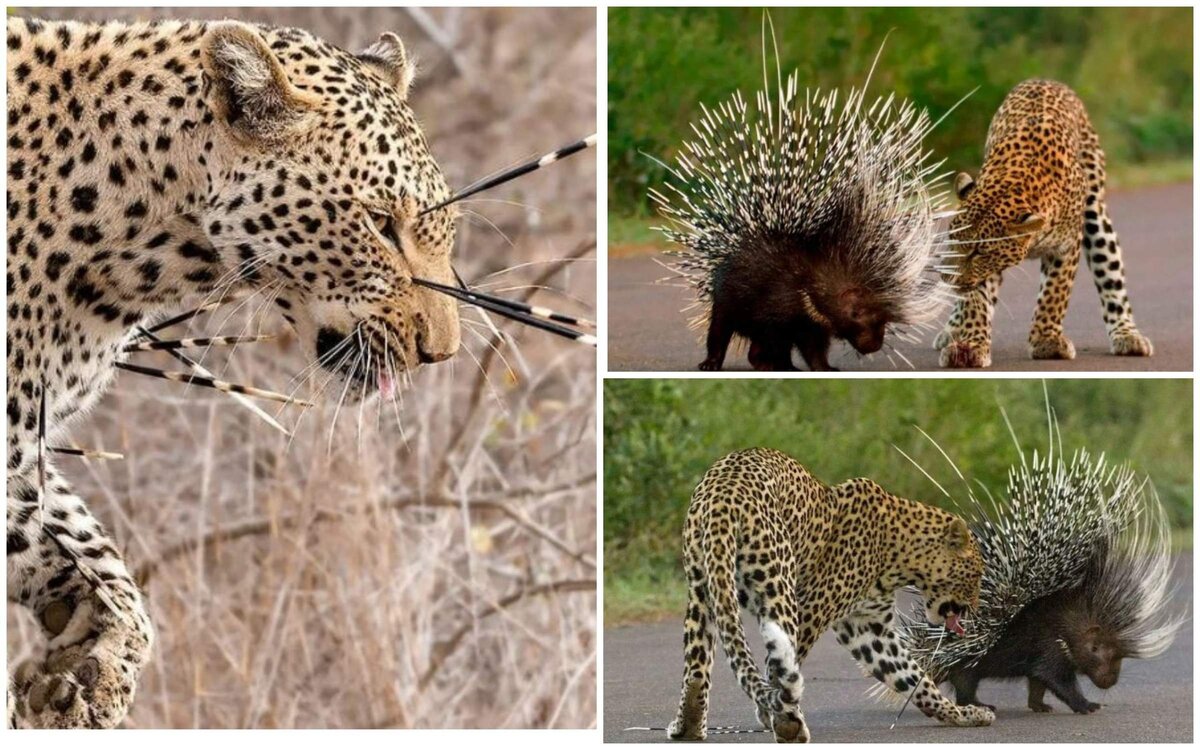 Я же только спросить хотел, а ему лишь бы кольнуть.