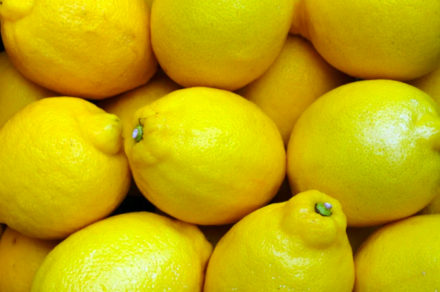   Фото: pixabay.com/ pixabay.com