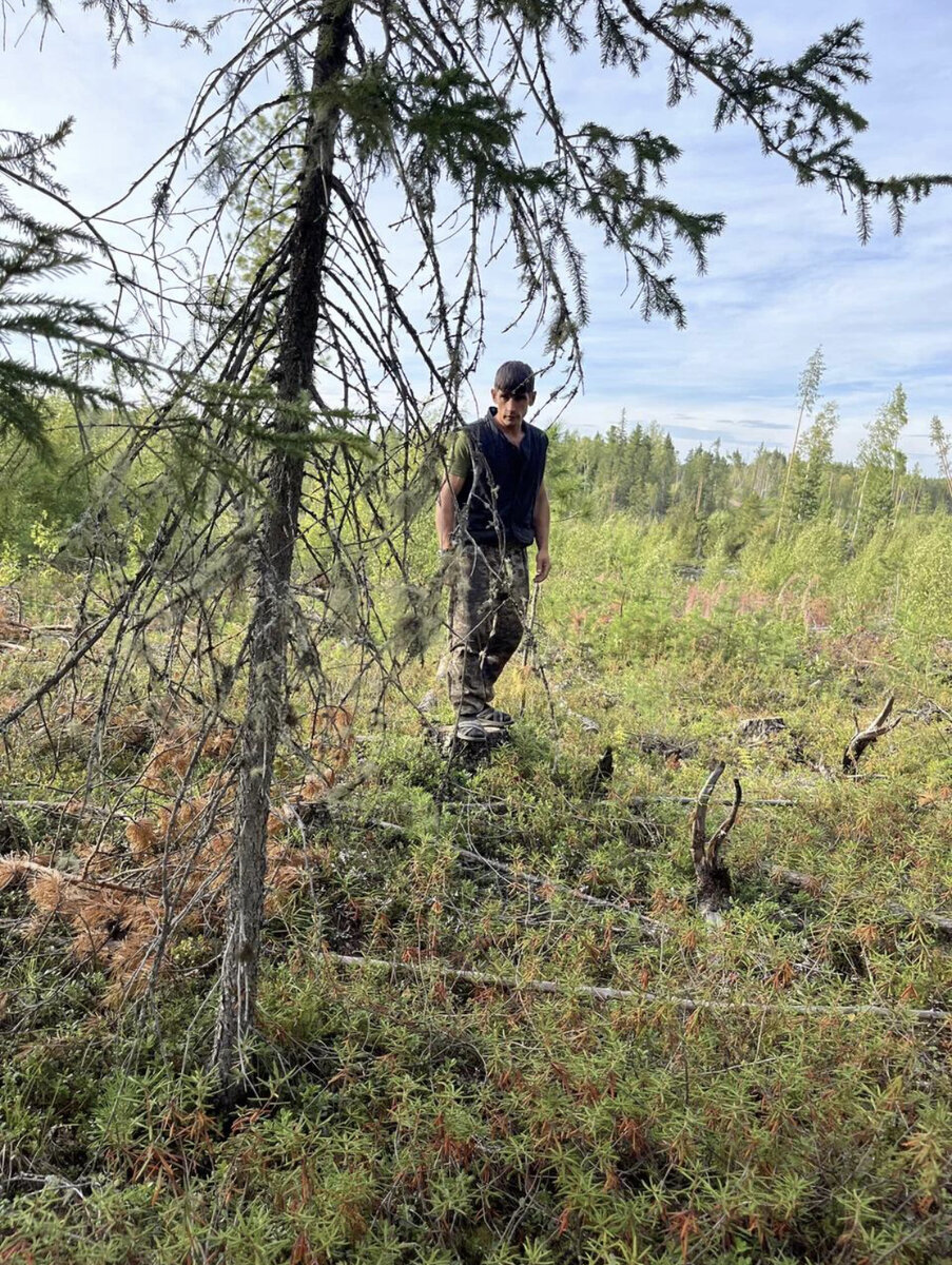 Как неверный муж Леший двух «баб» опять нашёл | 8 раз мама | Дзен