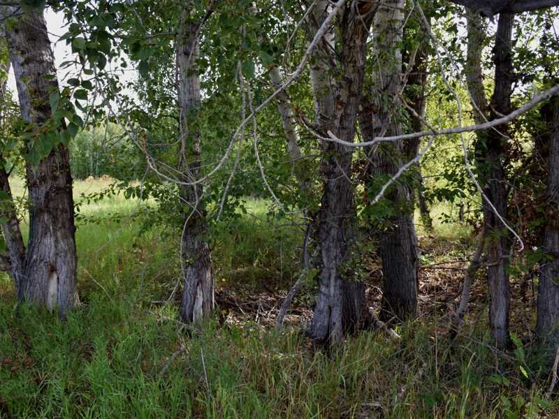 Вблизи эта, некогда огромная дырка в земле, выглядит как небольшое углубление в земле 20 метров в диаметре.
