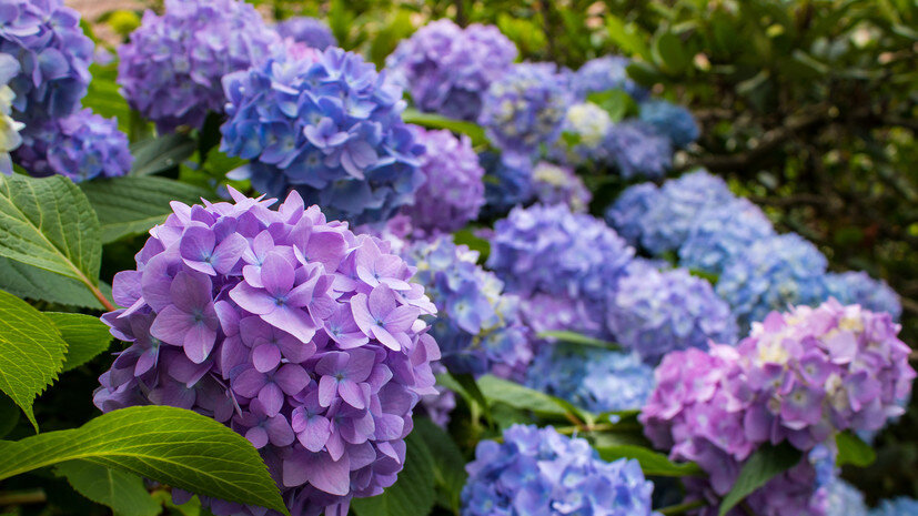   Gettyimages.ru David Klabisch / 500px