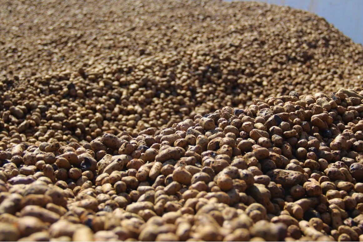 Фото: Яндекс-картинки 