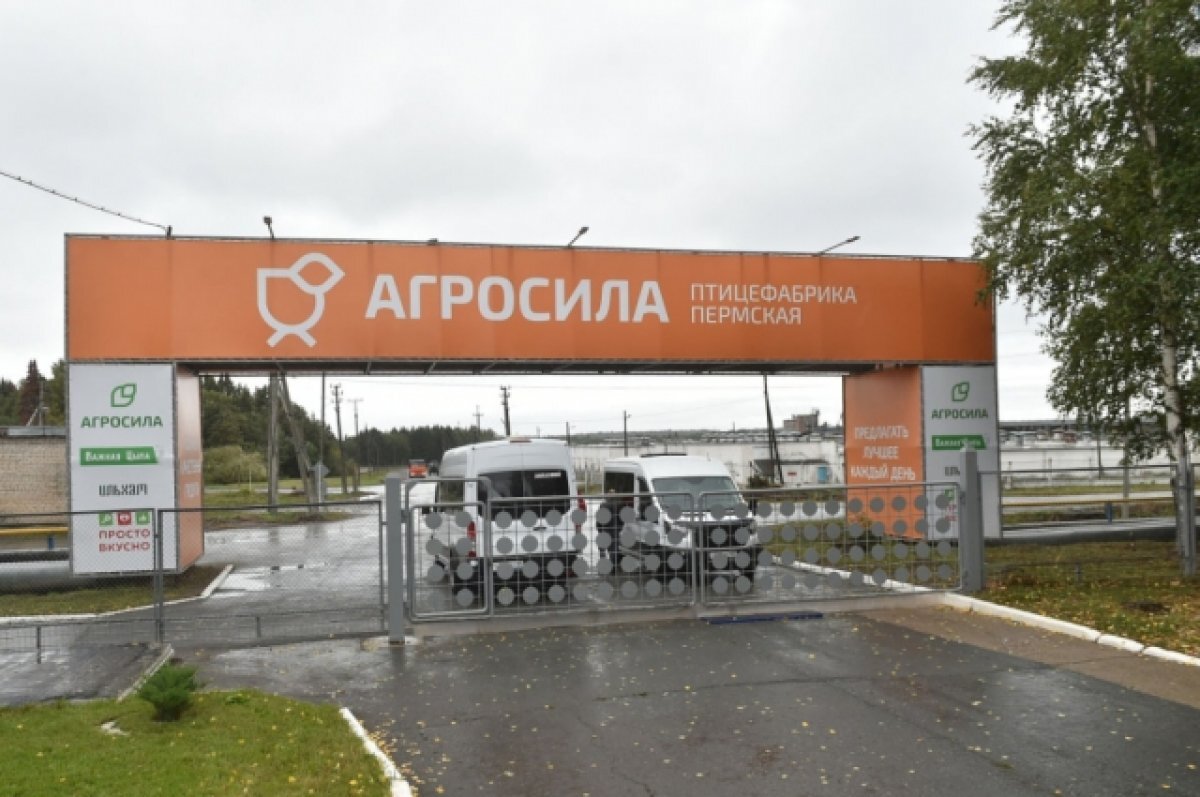    Фабрика выпускает более 40 тысяч тонн продукции. В ассортименте – более 168 наименований.