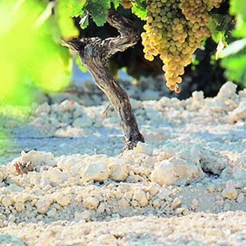 Источник: https://www.romate.com/about-us?lang=en