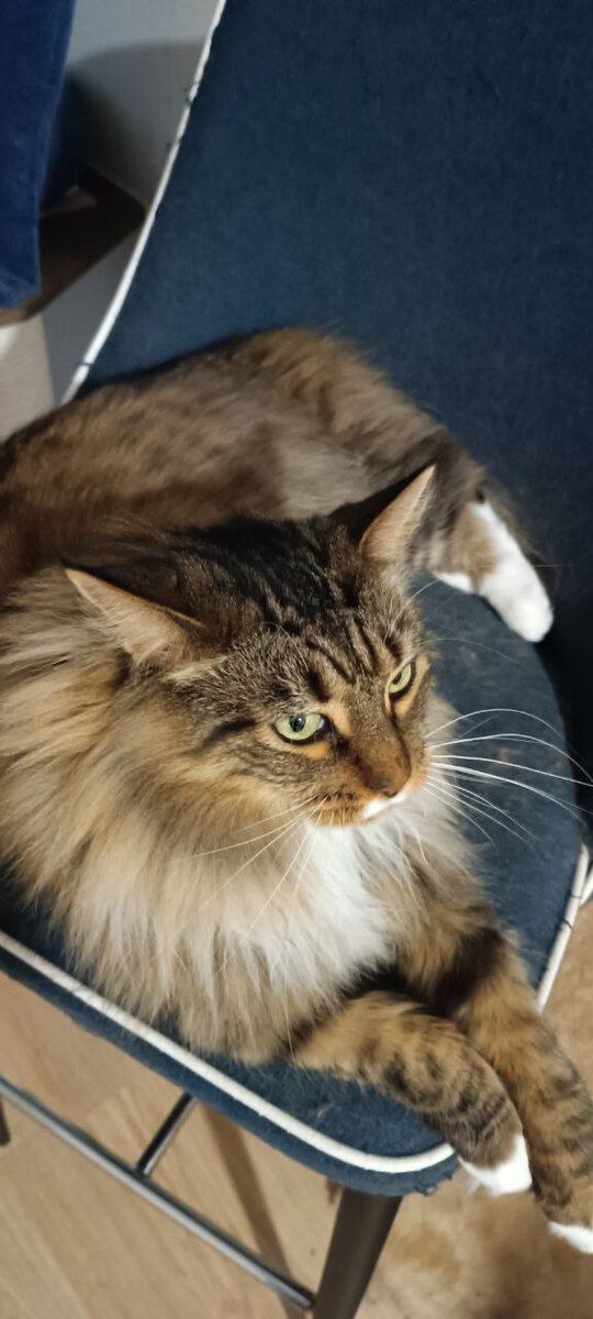 Это я. Вы, наверное, знаете, да?