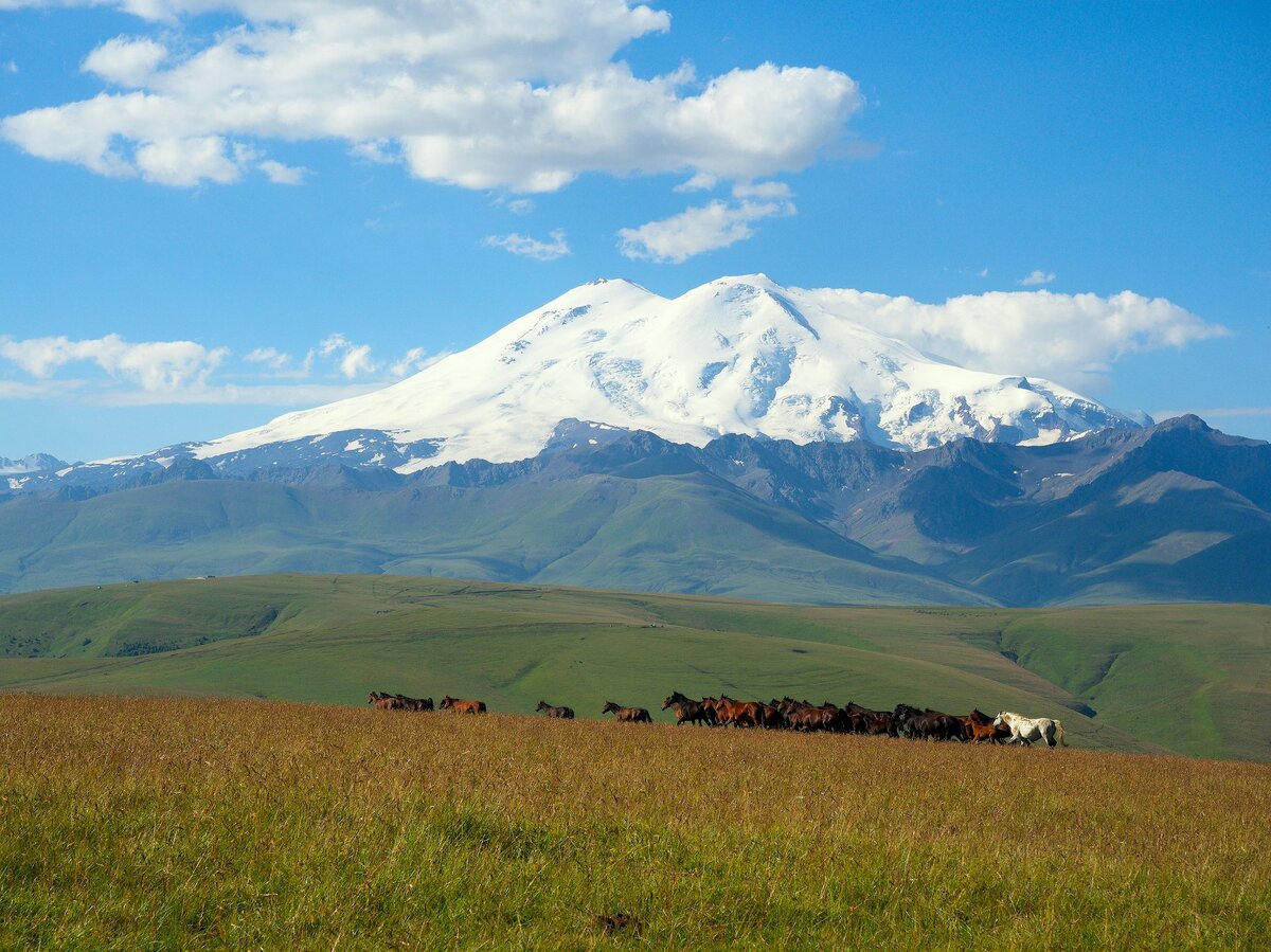 Эльбрус с Бермамыта