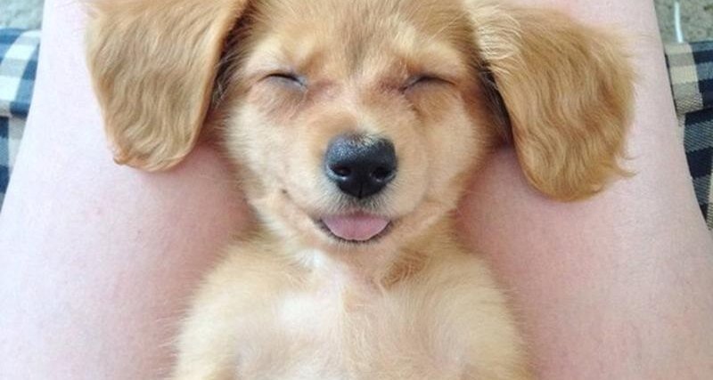 Виды анемии 