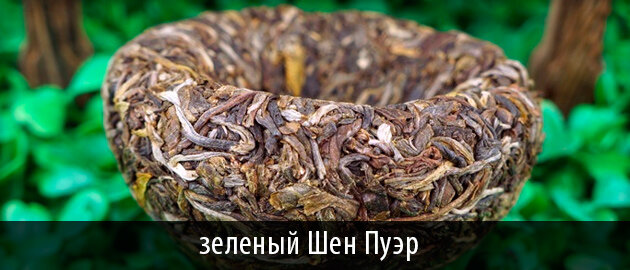 Все о пуэре: вкус, способы заваривания, целебные свойства