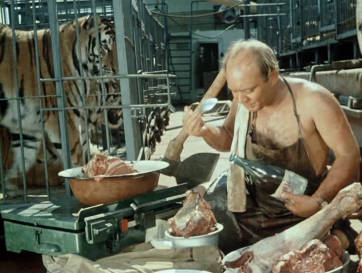 кадр из фильма "Полосатый рейс"