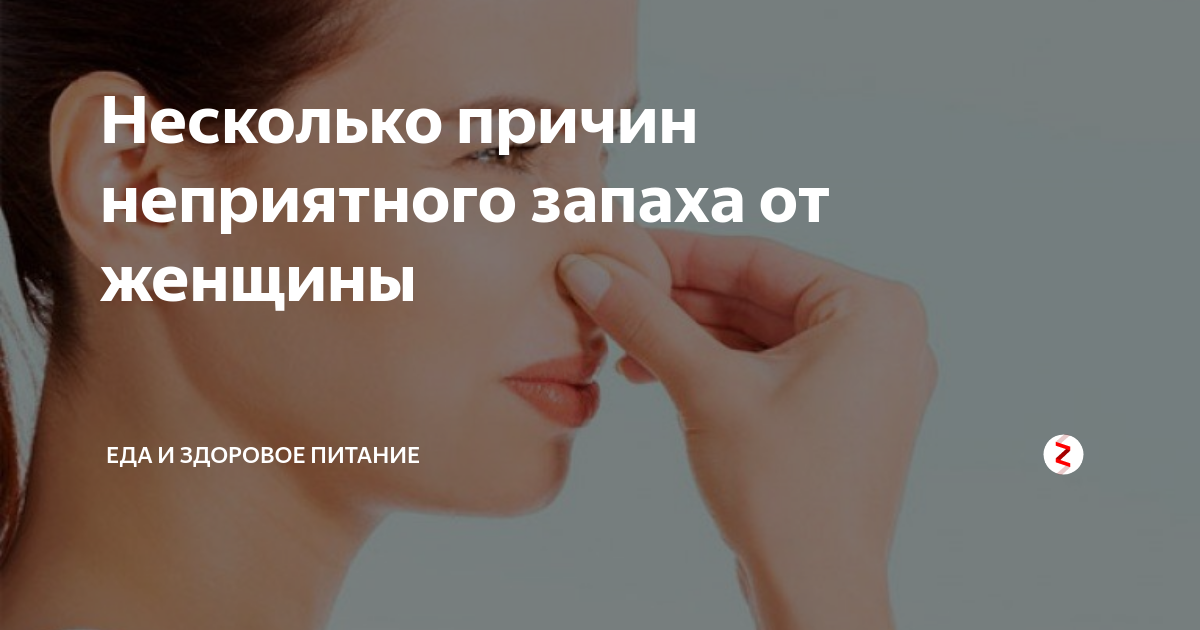 Социальное значение запахов. Почему пот воняет. Химия запахов тела. Почему от некоторых людей пахнет. Цитаты про запах любимого.