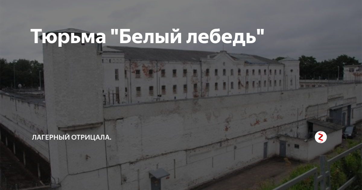 колония белый лебедь в соликамске. тюрмаюелыйледьсоликамск. белый лебедь колония адрес. белый лебедь соликамск. соликамск тюрьма белый лебедь.