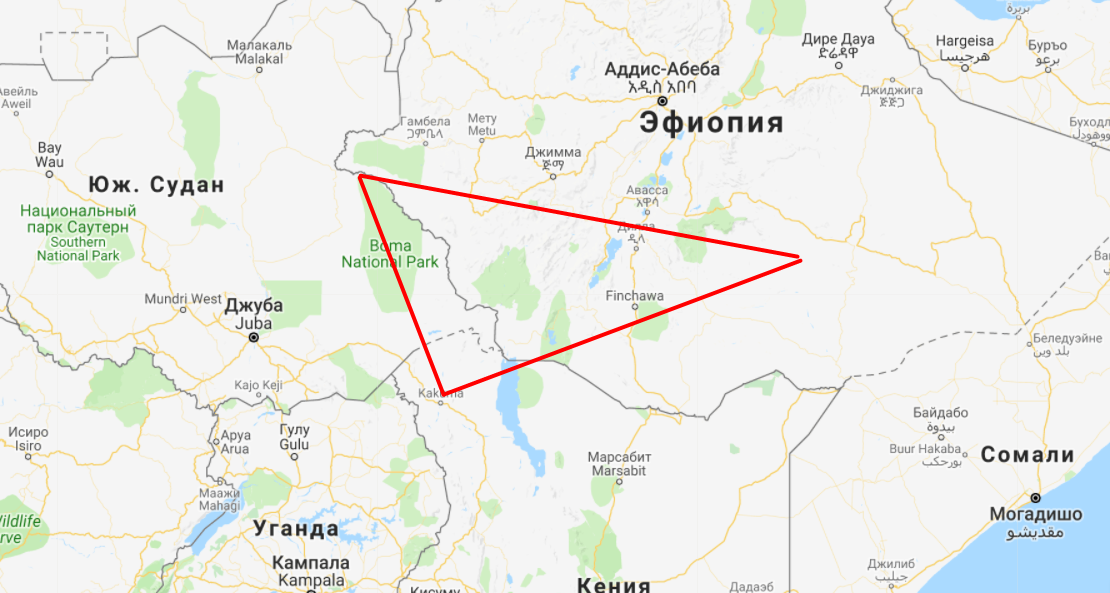 Что такое кофе арабика | BRAVOS COFFEESHOP | Дзен