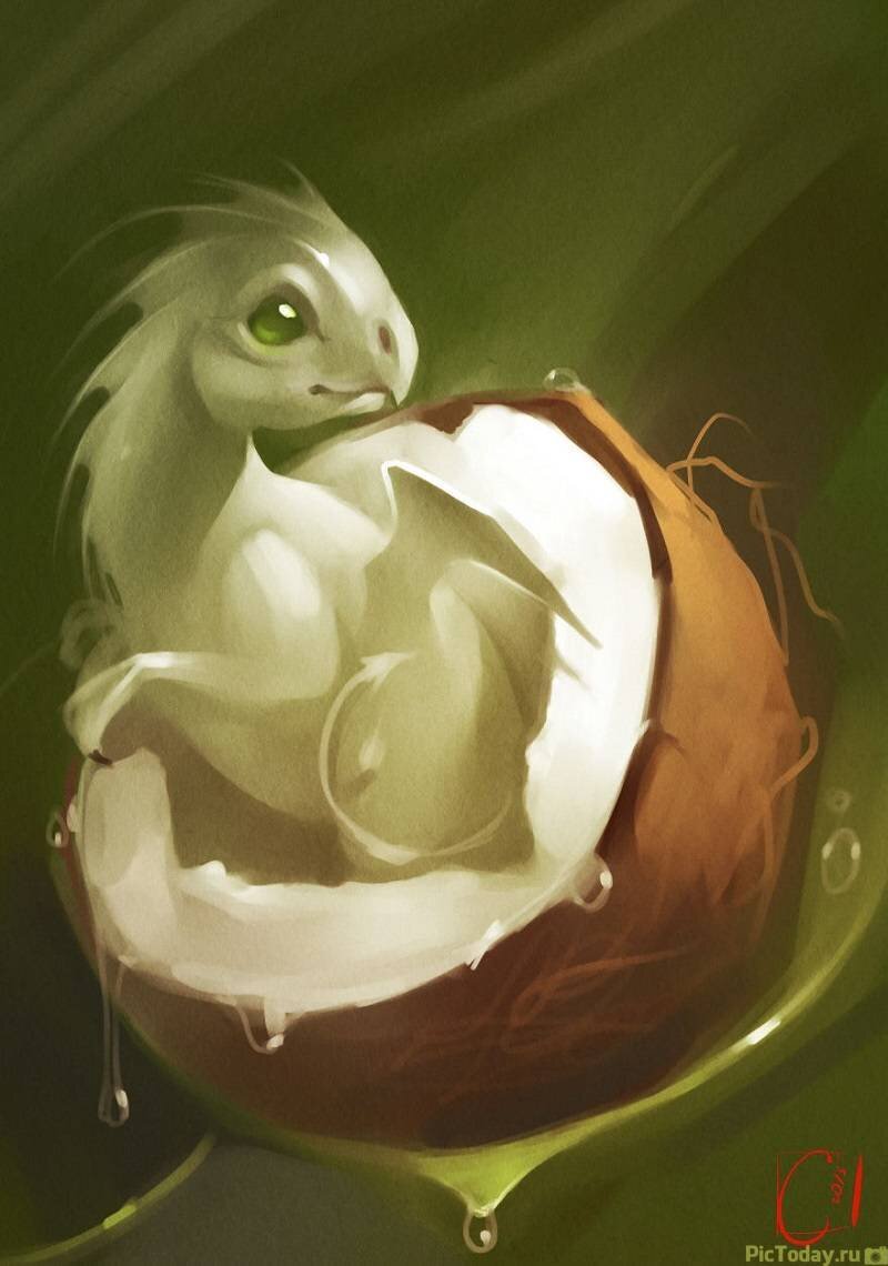 Кокосовый Дракон