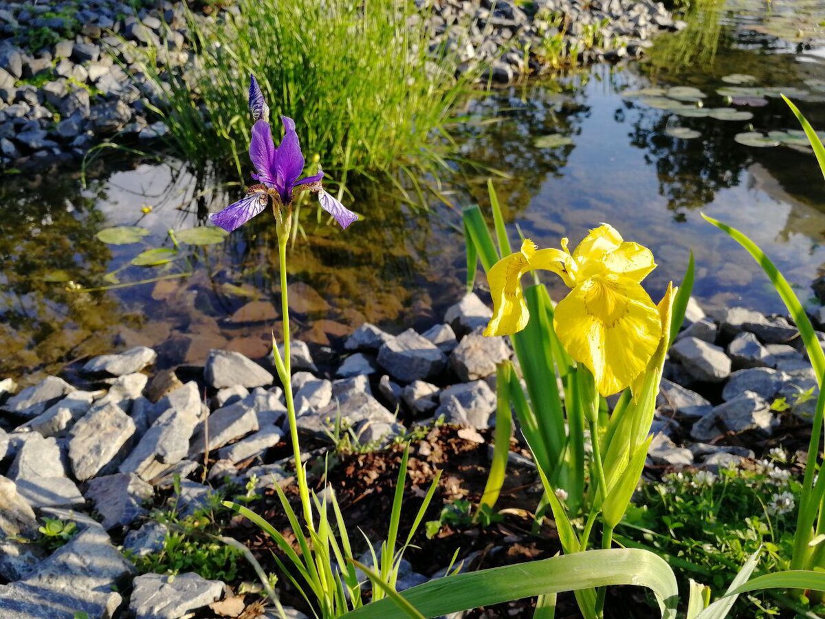 Вы видели это в парке "Зарядье"? Ну хорошо, в том парке, который рядом с Вашим домом? Прогуляйтесь - проверьте.