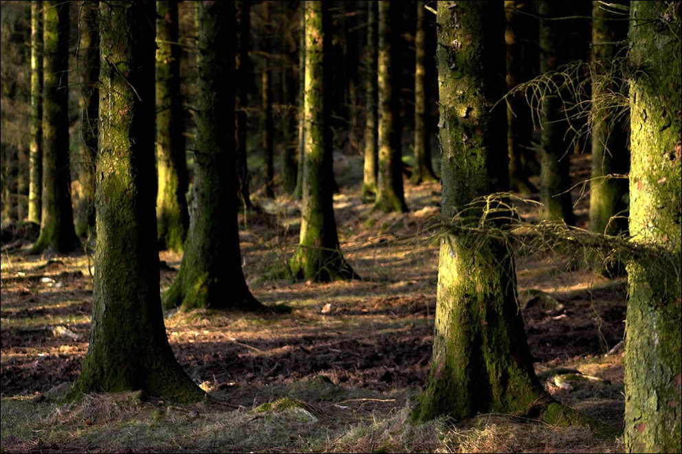 Катя. Источник: Windowssearch-exp.com