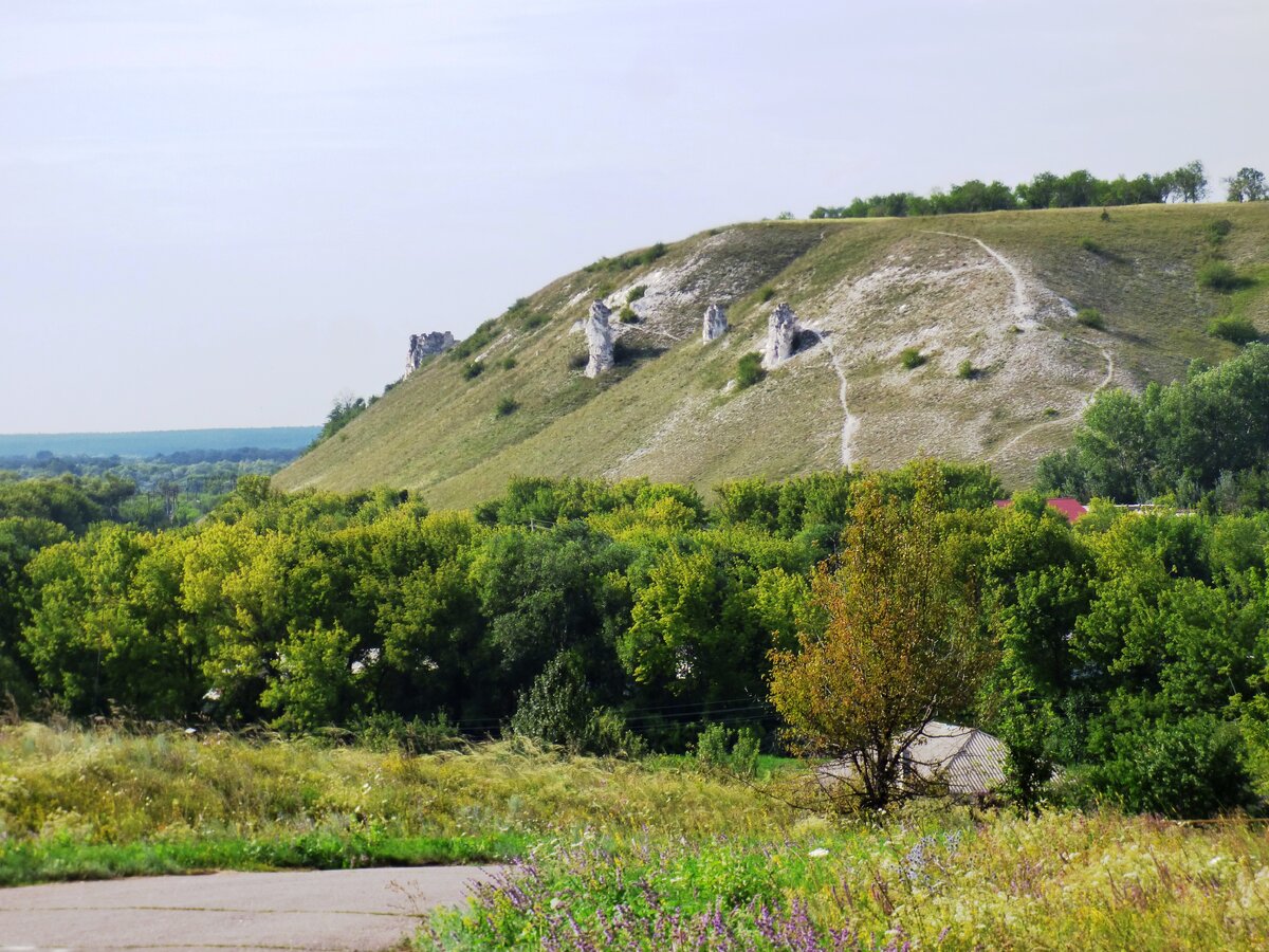 Фото костенки воронежской области