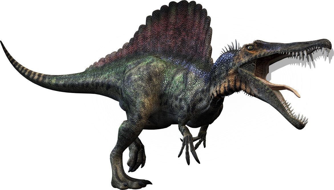 1. Тираннозавр   И конечно же мы начинаем наш топ с этого динозавра. Хоть он и не был самым смертоносным, но он является самым популярным и полюбившимся динозавром. Длиной около 12.-2