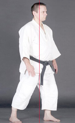 Основная стойка: 
ось равновесия совпадает с вертикальной осью