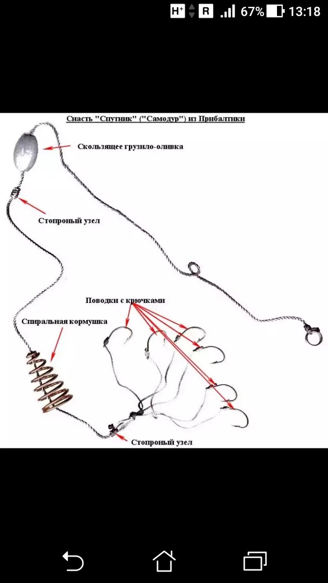 Как ловить на снасть «Самодур» ставриду