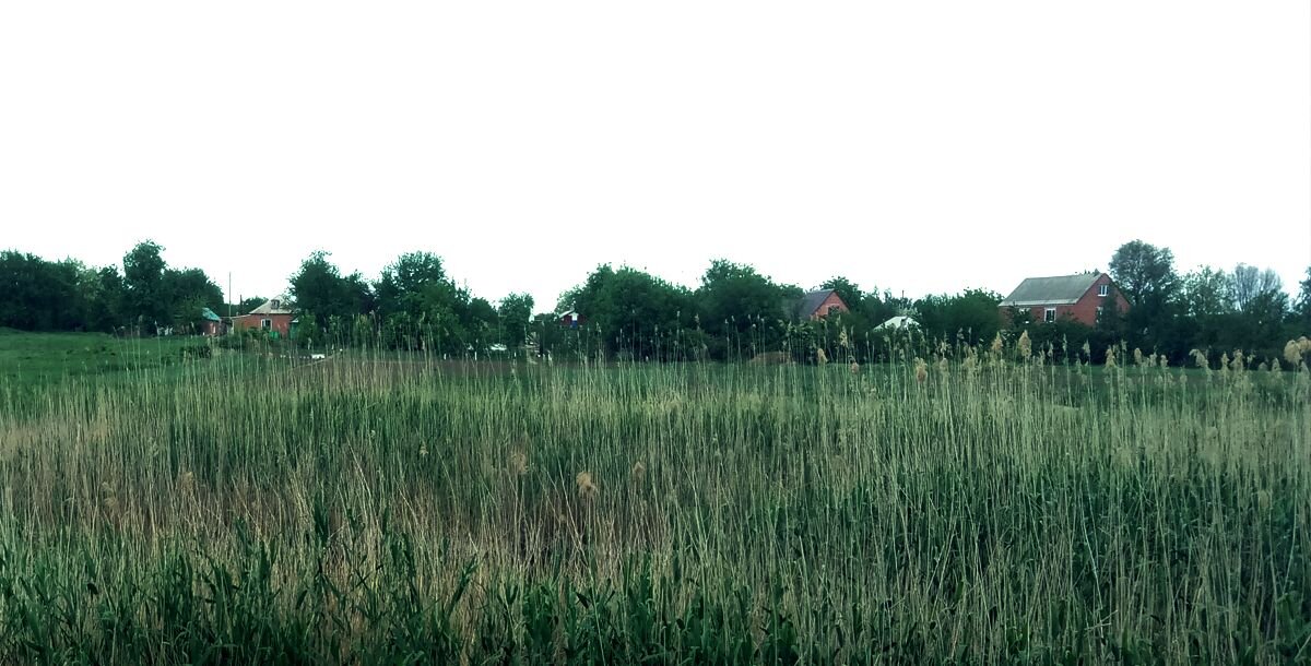 Фото: Артур Лакатош