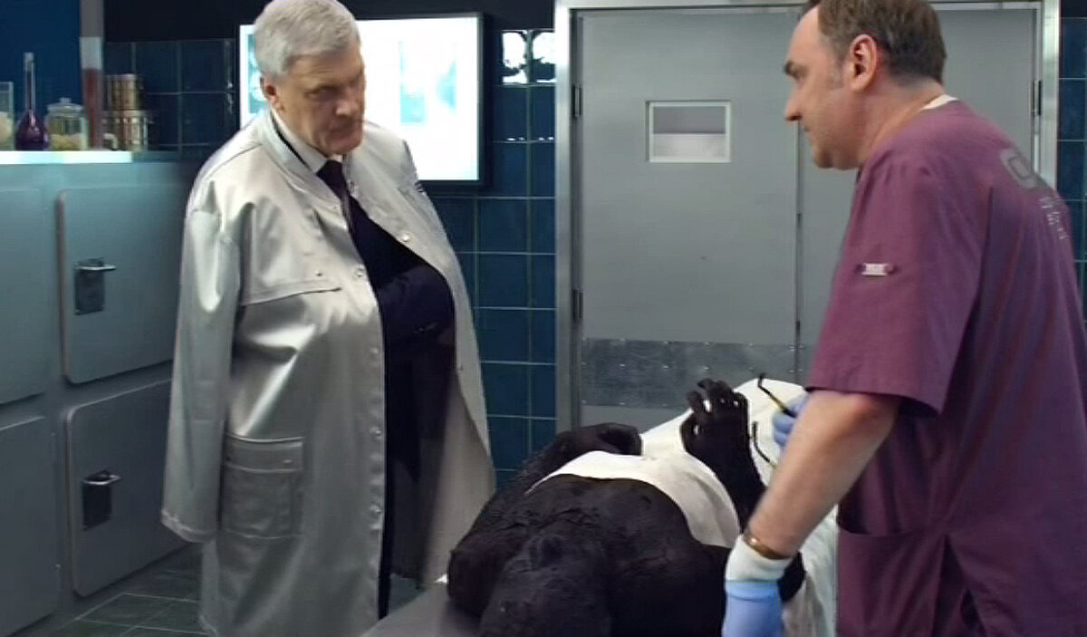 Селиверстов актер. След 2018 года. Артём осипов мухтар новый след. Slad serial poland. Кшиштоф ярошиньский актер.