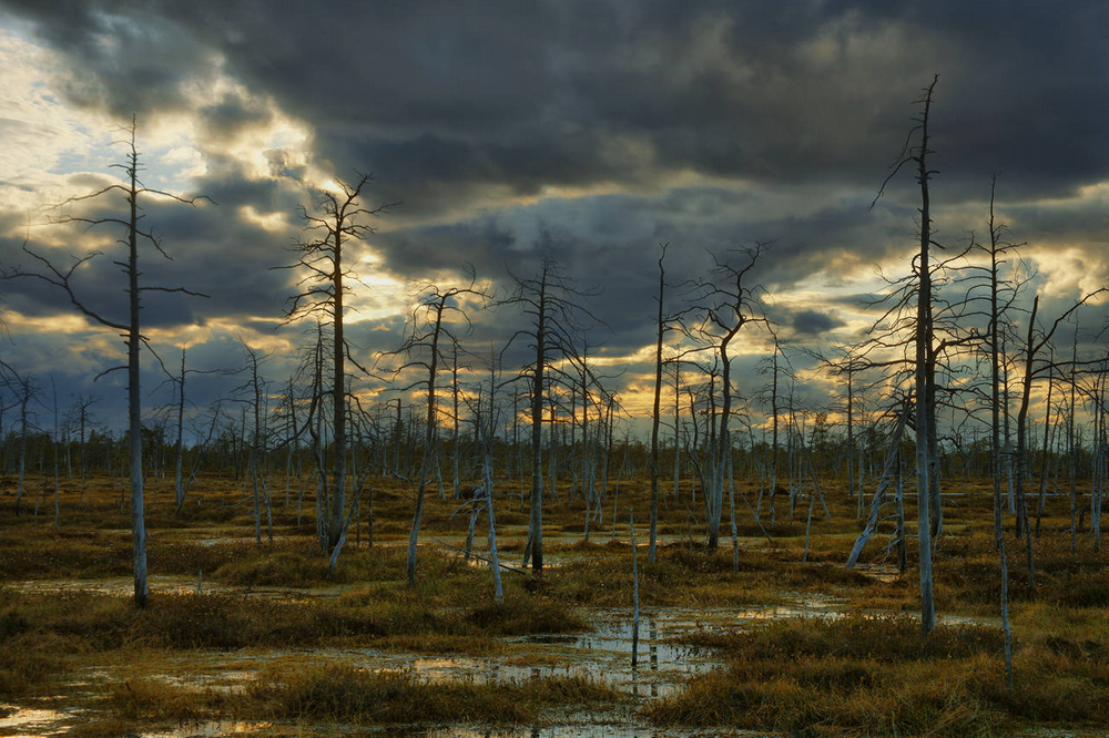 Удивительный мир, странный мир, загадки, интересное, неопознанное, мистика, монстры