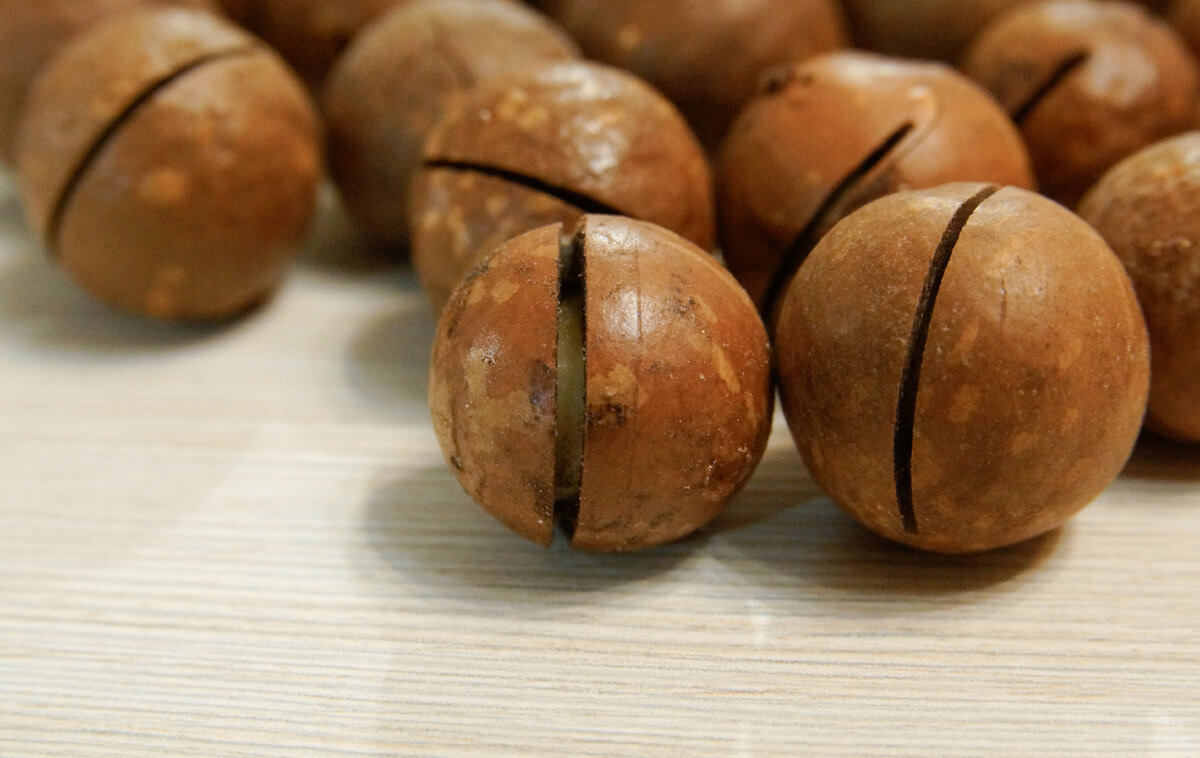 Самый крепкий орех. Царь орех макадамия. Орешки макадамия ключик. Орех макадамия австралийский. Ключ для ореха макадамия.