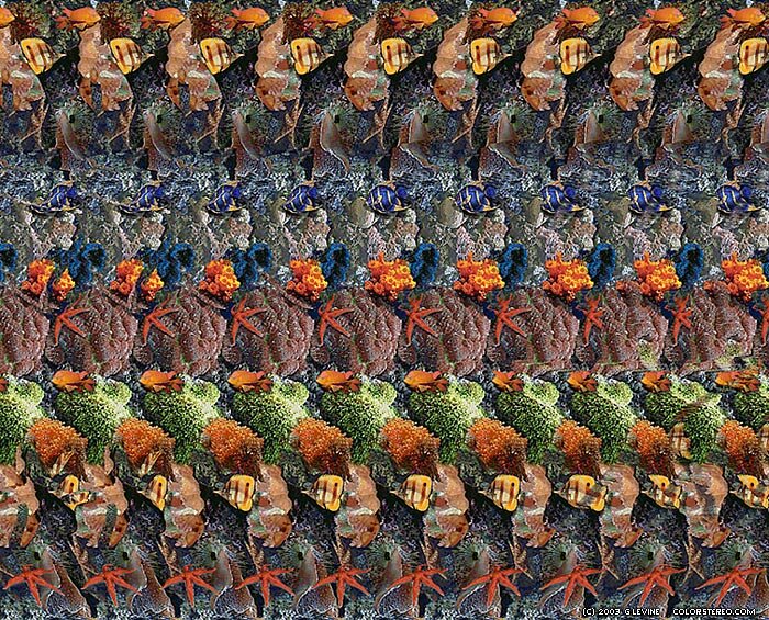 optical-illusions.ru