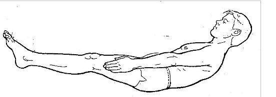 Голова ноги туловище. Лежа на спине руки вдоль. Подъем головы лежа на спине. Вытягивание рук лежа на спине. Лежа на спине, вытяните руки вдоль тела.
