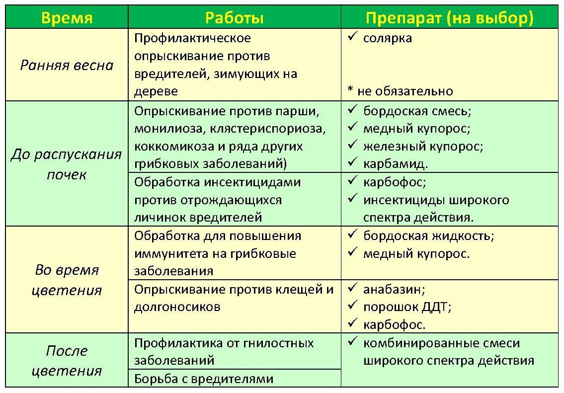  Сегодня в садоводческих магазинах полки переполнены всевозможными препаратами для весенней обработки растений. Однако популярные средства можно сосчитать на пальцах одной руки. Их мы и рассмотрим.-2