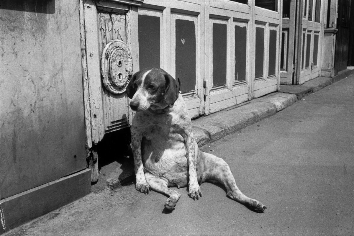 Картинка для привлечения внимания - фотография Эллиота Эрвитта, которая как бы демонстрирует, что иногда сложно идти даже по идеально ровной поверхности