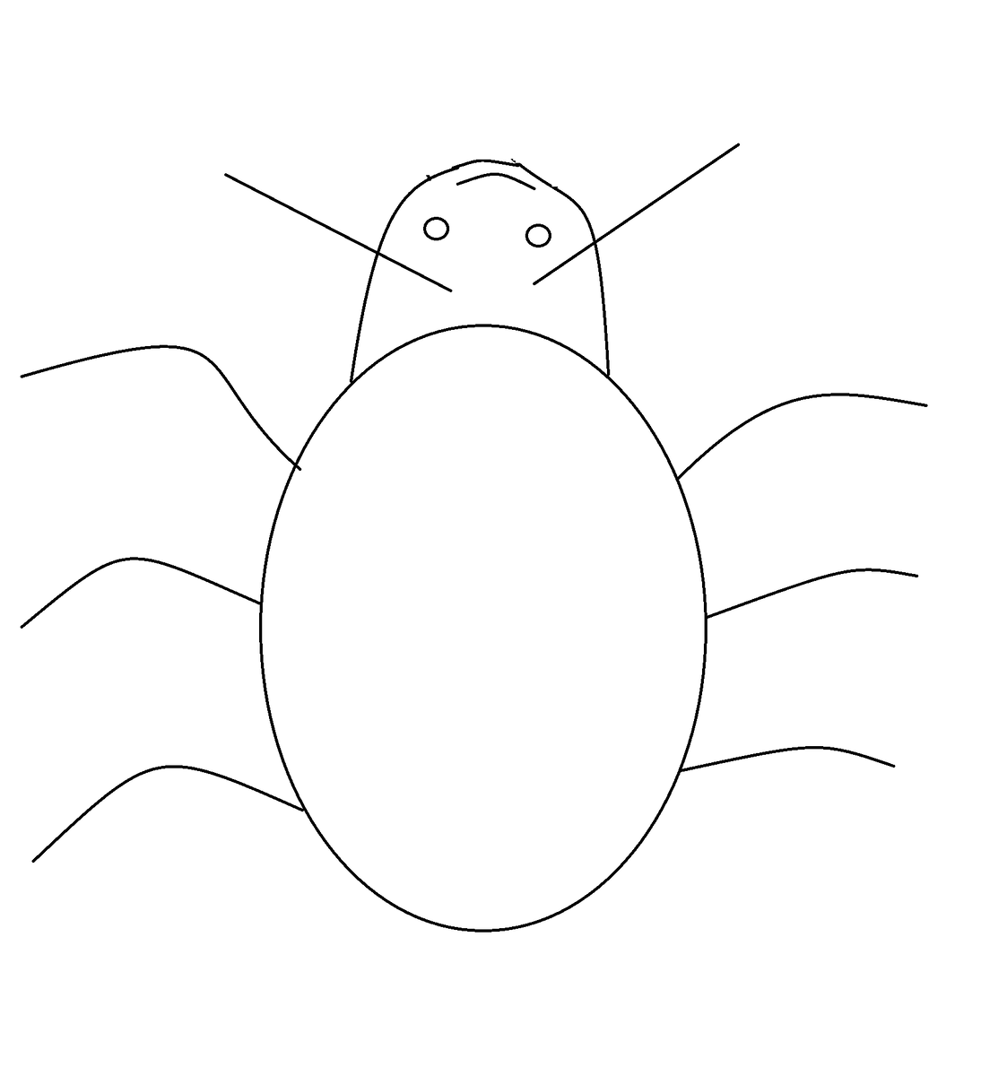 Примерная схема жука