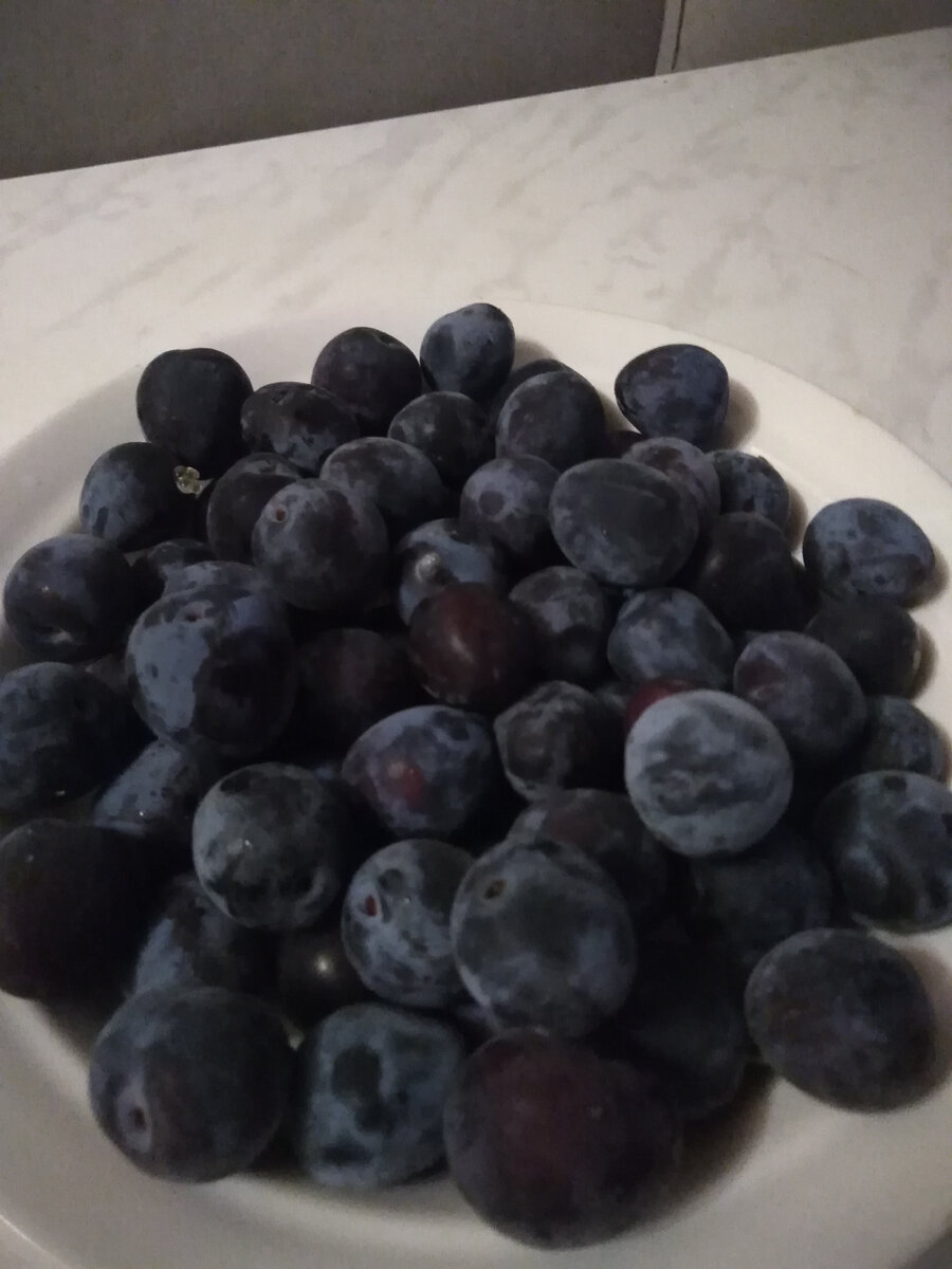 Слива поспела. 