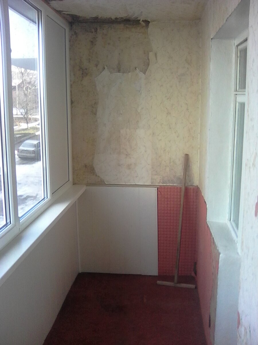 Фото автора. Грибок на стене и потолке.