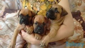 Вот такими они и были..