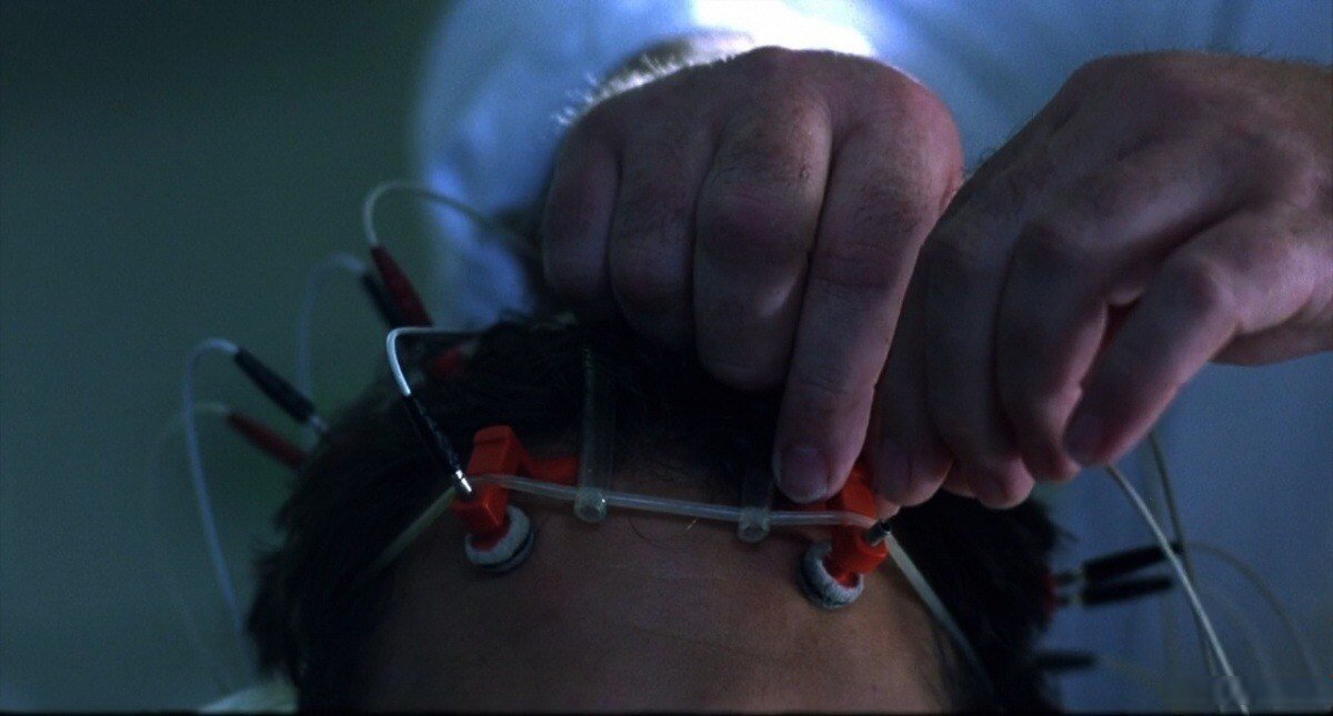 Фото с Яндекс картинки.