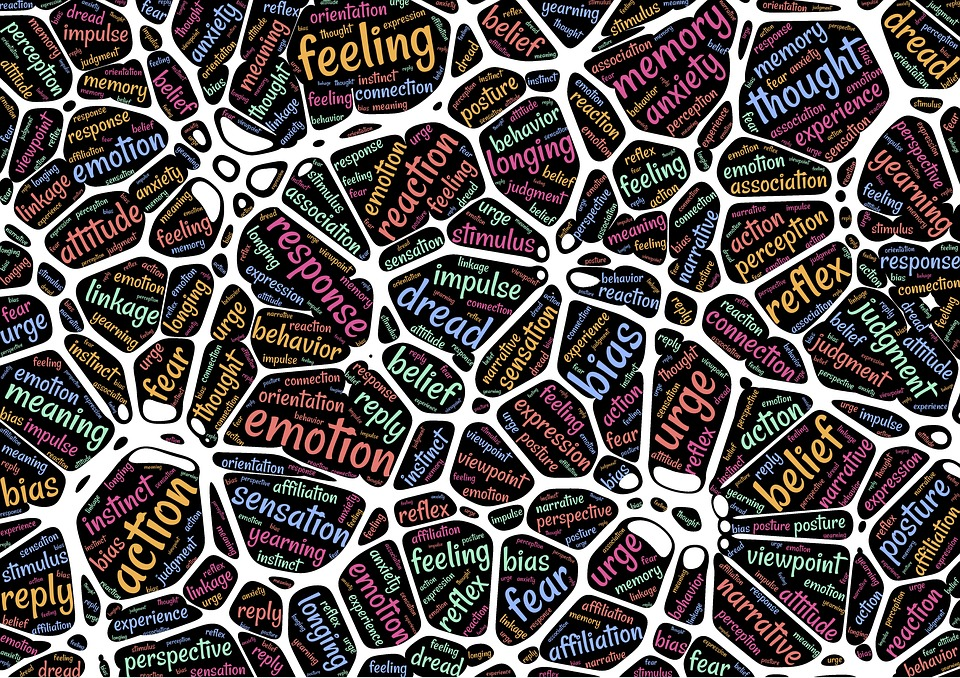 https://cdn.pixabay.com/photo/2017/04/03/06/08/mental-2197585_960_720.jpg