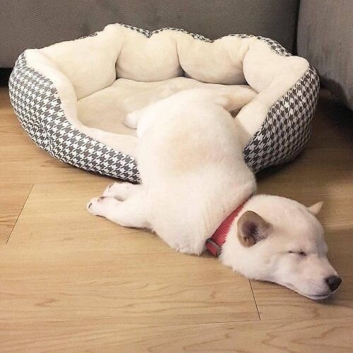 Источник: Pinterest