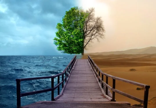 твоя жизнь после и до прочтения этой статьи 