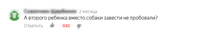 Вот так вот, на полном серьезе. Ребенка ВМЕСТО собаки.
