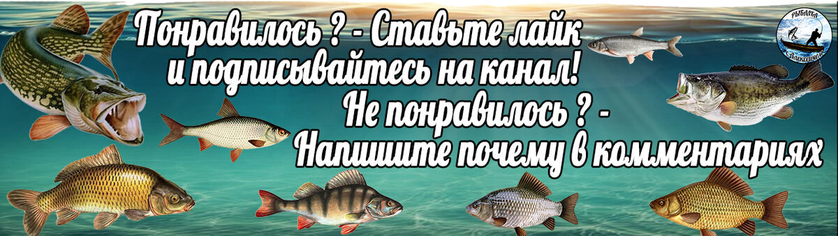 Аттрактант на хищника Двойной удар окунь оптом недорого в Украине