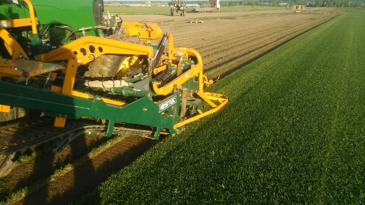 Фотография взята из открытых источников Яндекса